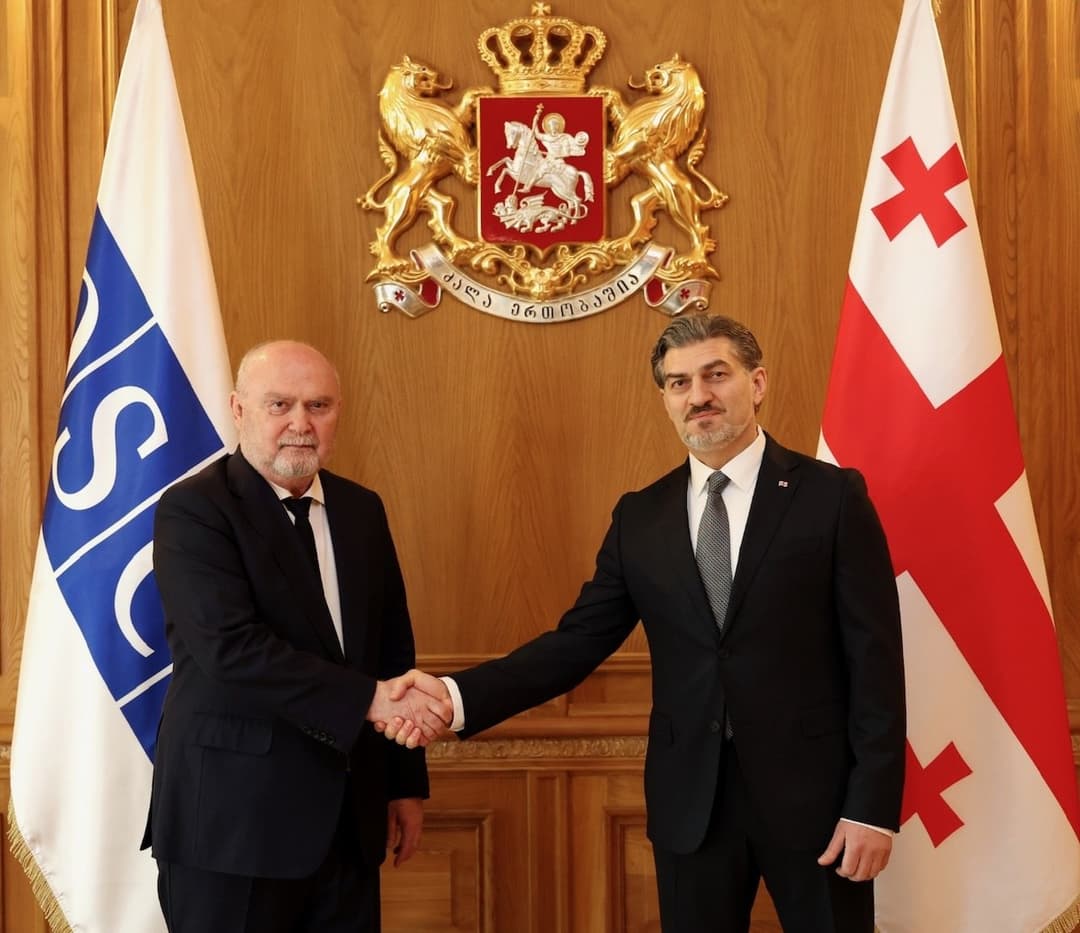 მიხეილ ყაველაშვილმა ეუთოს გენერალურ მდივანს პრეზიდენტის სასახლეში უმასპინძლა