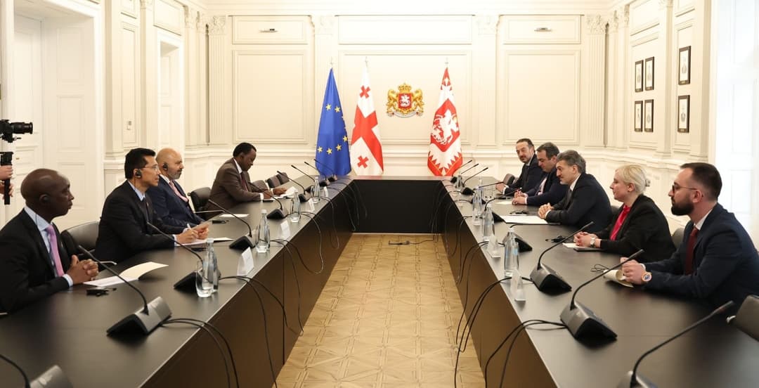 მიხეილ ყაველაშვილი გაეროსთან აკრედიტებულ მუდმივ წარმომადგენლებს შეხვდა