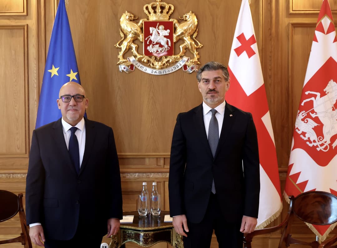 მიხეილ ყაველაშვილი საქართველოში თურქეთის ელჩს შეხვდა