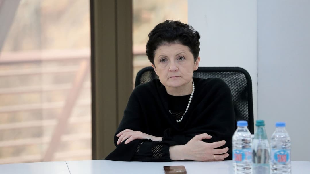 Vice Parliament Speaker accuses Western ambassadors of undermining Georgian sovereignty