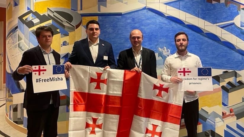 ლევან სანიკიძე და იგორ ნარმანია შვედეთში ოფიციალური ვიზიტით იმყოფებიან