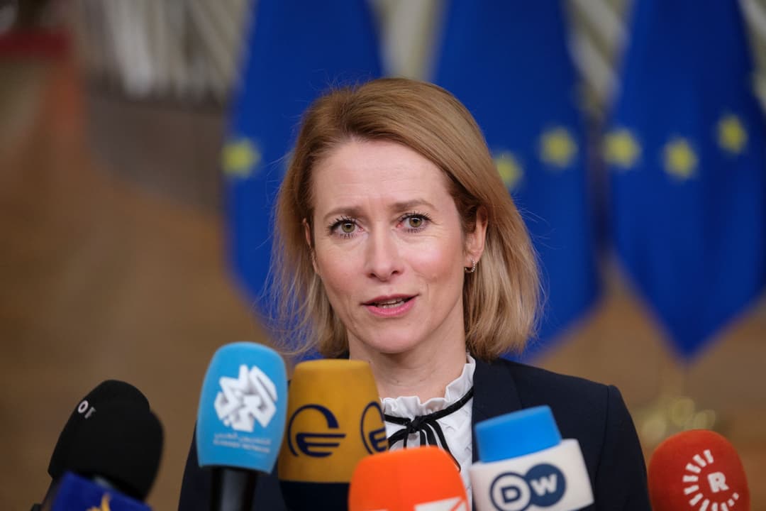 EU adopts new Black Sea strategy, emphasizing security and integration