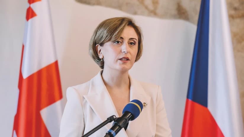 Maisuradze, who recently joined Pololikashvili's campaign team, suggested that the ruling Georgian Dream party pressured Pololikashvili to dismiss her from his team. 