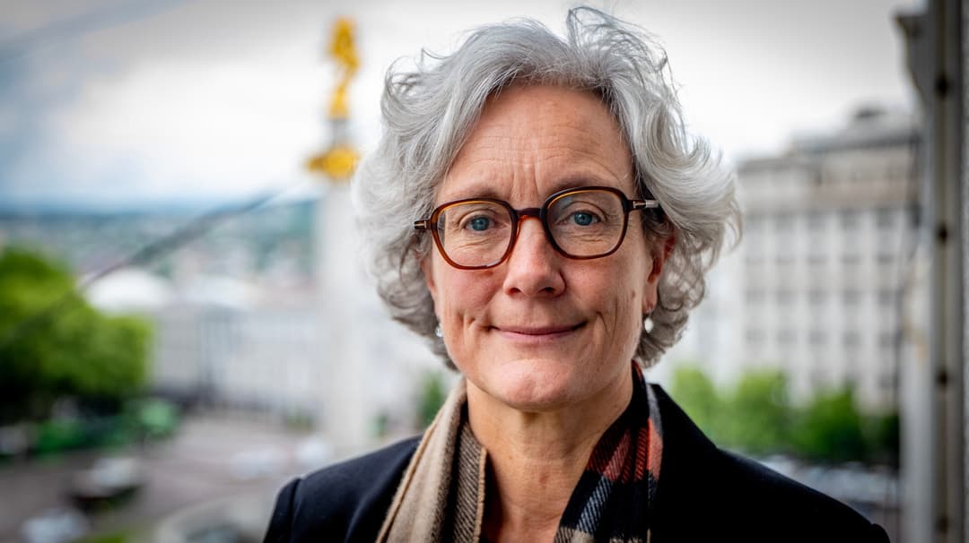 ნორვეგიის ელჩი - დემოკრატიაზე ეს თავდასხმა მიუღებელია, საქართველო შემაშფოთებელ გზაჯვარედინზე დგას