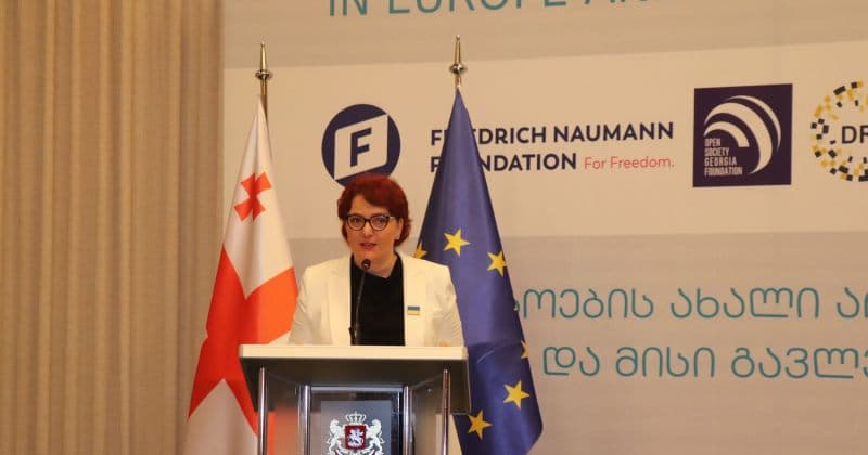 თინა ხიდაშელი - ივანიშვილი არ ხვდება აშშ-ის ელჩს იმიტომ, რომ მას სათქმელი არაფერი აქვს