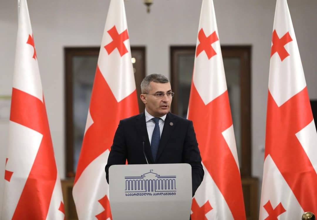 მამუკა მდინარაძე - თავიანთ ქვეყნებს მიხედონ და თანაბარსწორად გველაპარაკოს ყველა