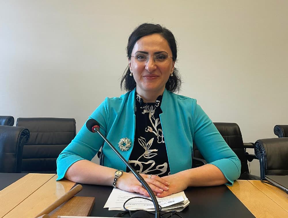 სოფო კილაძე გაეროს ბავშვის უფლებათა კომიტეტის თავმჯდომარედ აირჩიეს