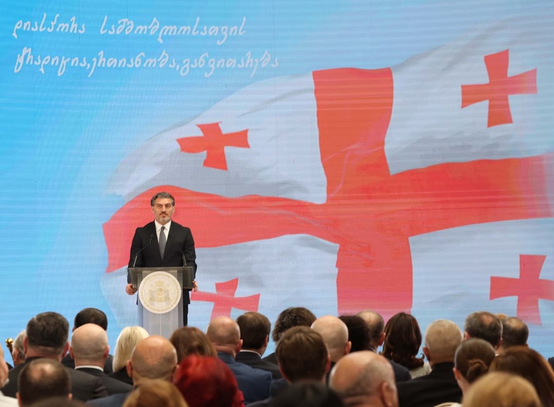 მიხეილ ყაველაშვილი დიასპორის დღისადმი მიძღვნილ ღონისძიებას დაესწრო