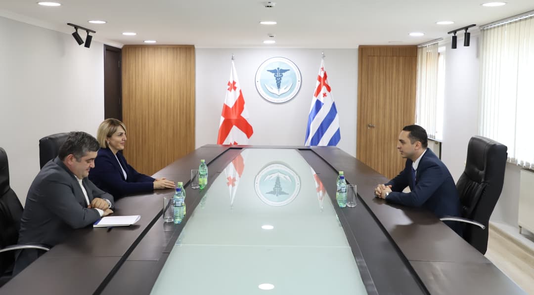 გიორგი ჯინჭარაძე აჭარის ჯანმრთელობისა და სოციალური დაცვის მინისტრს შეხვდა