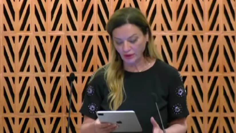 ალბანა ვოკში - თვალს თუ არ გავუსწორებთ რეალობას, მალე საქართველოში ყველა ოპოზიციური ლიდერი ციხეში აღმოჩნდება, ოპოზიცია კი აღარ იარსებებს