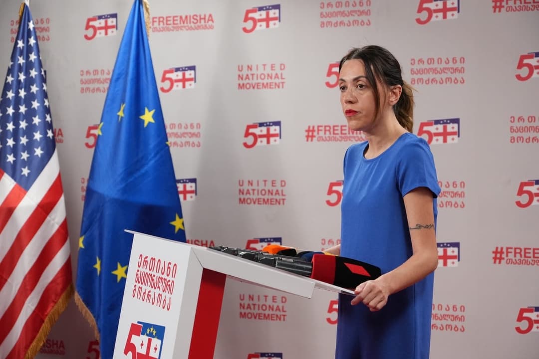 ანა წითლიძე - ის, რომ ამაზე დისკუსია მიმდინარეობს უკვე არის ძალიან ცუდი ქართველი ხალხისთვის, პასუხისმგებლობა ეკისრება “ოცნებას” და ივანიშვილს