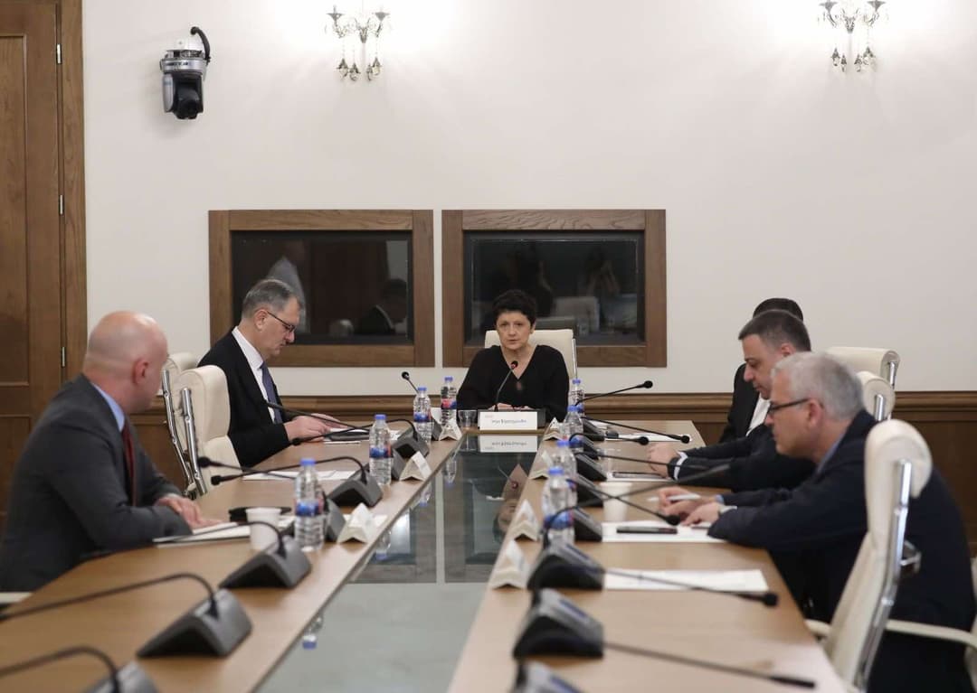 პარლამენტის დროებითმა საგამოძიებო კომისიამ დავით ცინდელიანის სიცოცხლის უფლების ხელყოფის საქმე და 2019 წლის 20 ივნისს თბილისში განვითარებული მოვლენები განიხილა