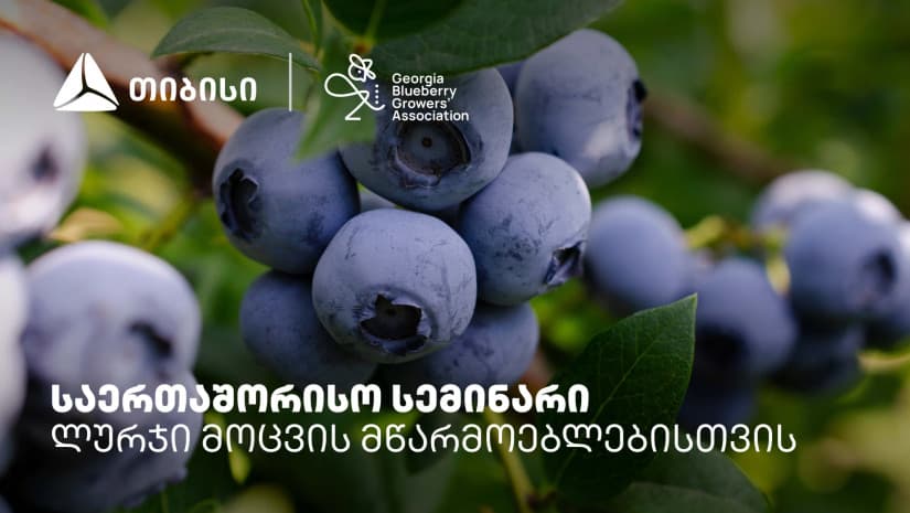 თიბისის მხარდაჭერით, ლურჯი მოცვის მწარმოებლებისთვის საერთაშორისო სემინარი გაიმართა