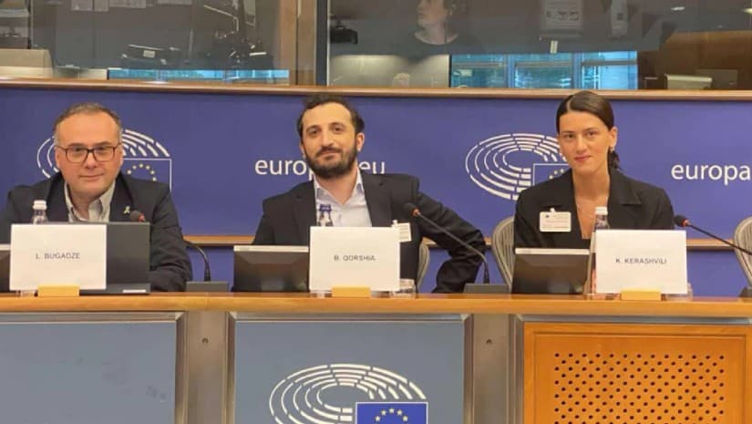 Detained Georgian protester's sister to European Parliament: "We need your support and action"