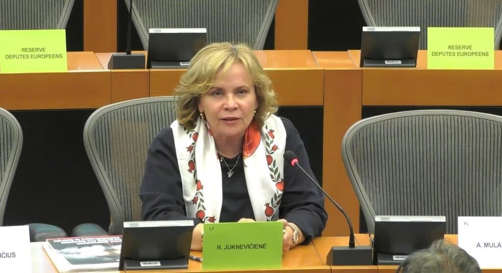 Lithuanian MEP Rasa Juknevičienė emphasised the importance of safeguarding democratic values in Georgia and across the wider South Caucasus and Black Sea regions. 
