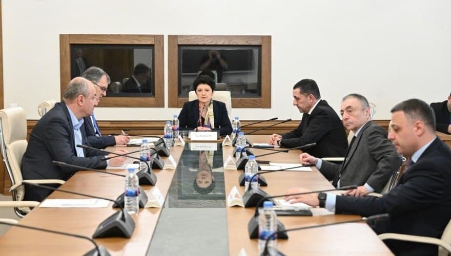 Tsulukiani, who also chairs the Temporary Investigative Commission probing the alleged crimes, made the remarks during a televised session on Monday.