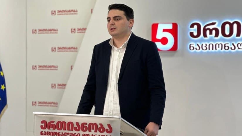 Georgian opposition figure urges ‘timely decision’ on elections, questions legitimacy of process