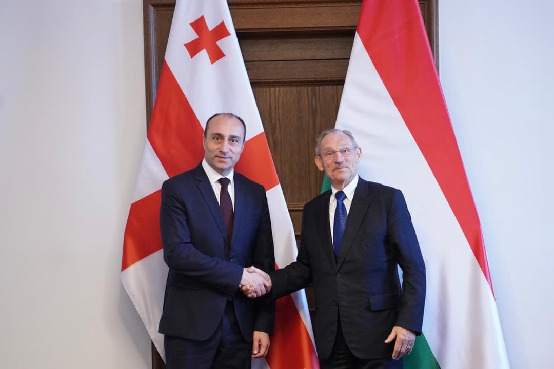 გეკა გელაძე უნგრელ კოლეგას შანდორ პინტერს შეხვდა