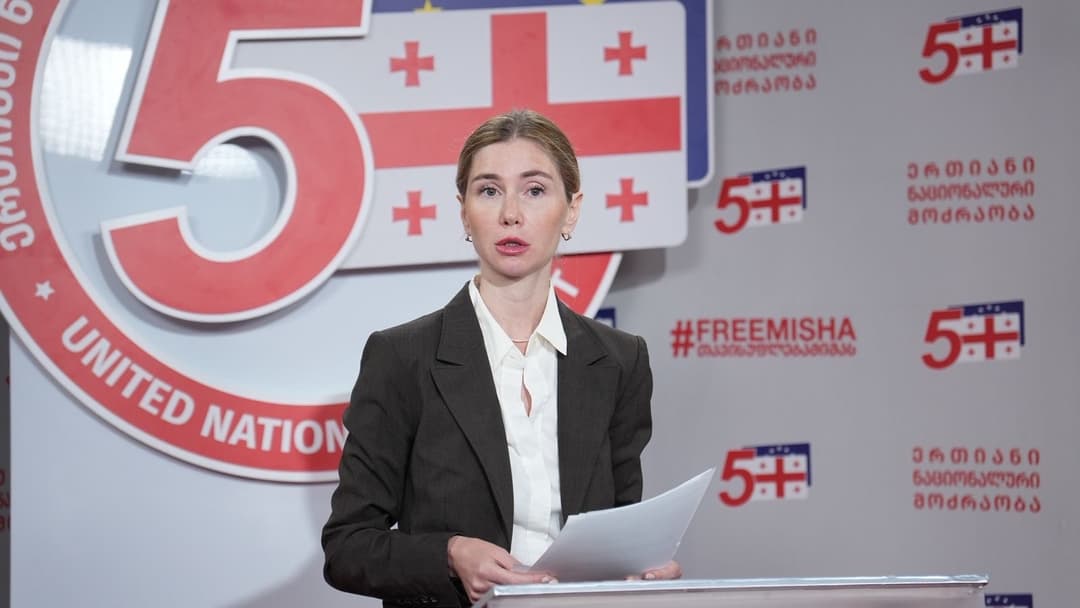 Georgian opposition condemns potential suspension of EU visa waiver 