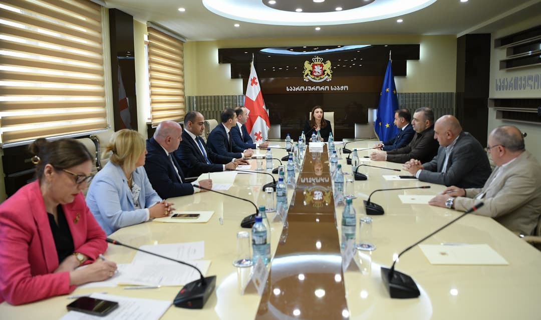 გენერალური პროკურორობის კანდიდატად გიორგი გვარაკიძეა წარდგენილი