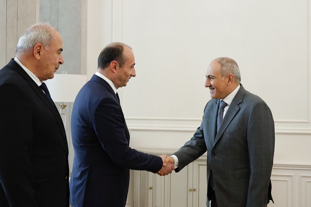 გეკა გელაძე ნიკოლ ფაშინიანს შეხვდა