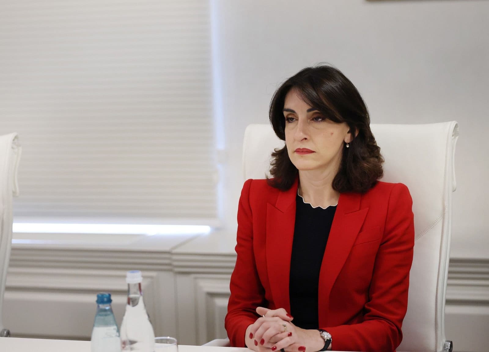 Botchorishvili condemned what she described as the destructive actions of opposition representatives.