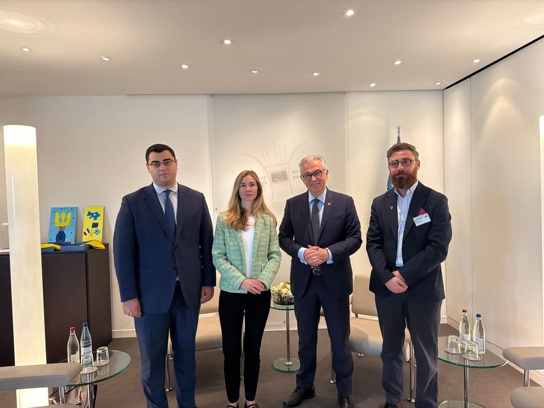 თინა ბოკუჩავა PACE-ის პრეზიდენტს შეხვდა