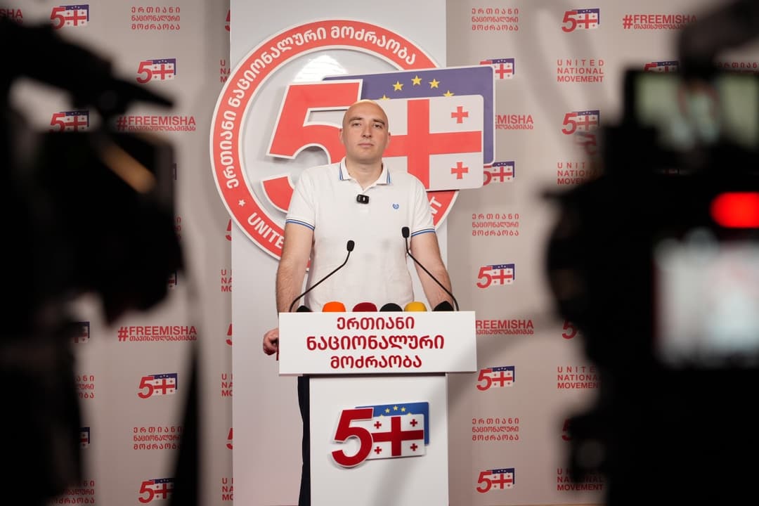 ირაკლი ფავლენიშვილი - ელენე ხოშტარიას ეს ნაბიჯი აღქმული უნდა იქნეს, რომ აღარ არსებობს უკან დახევა რეჟიმთან ბრძოლაში