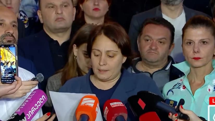 ელენე ხოშტარიამ შიმშილობა შეწყვიტა