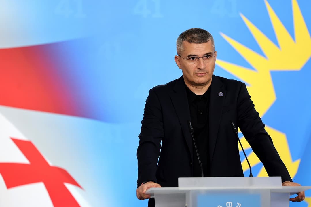 მამუკა მდინარაძე - ვიწყებთ სახელმწიფო პროგრამას, უპატრონო ძაღლების ბაზებში შეყვანას, მათი გამრავლების პრევენციას