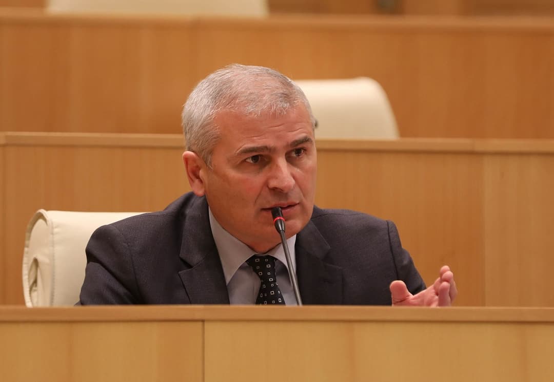 ირაკლი ქადაგიშვილი - ამხელა ევროპარლამენტია და დაკავებული არიან ჭორაობით