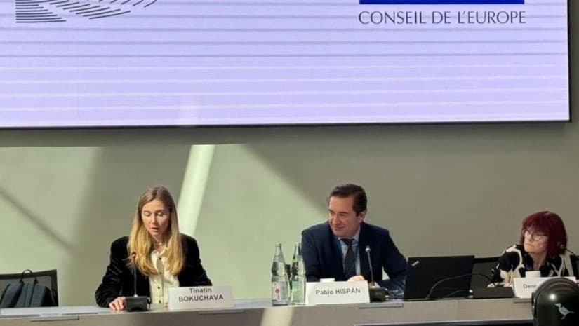 თინა ბოკუჩავა - მოუწოდეთ თქვენს მთავრობებს, დაუწესონ სანქციები ივანიშვილს და მისი რეჟიმის წარმომადგენლებს