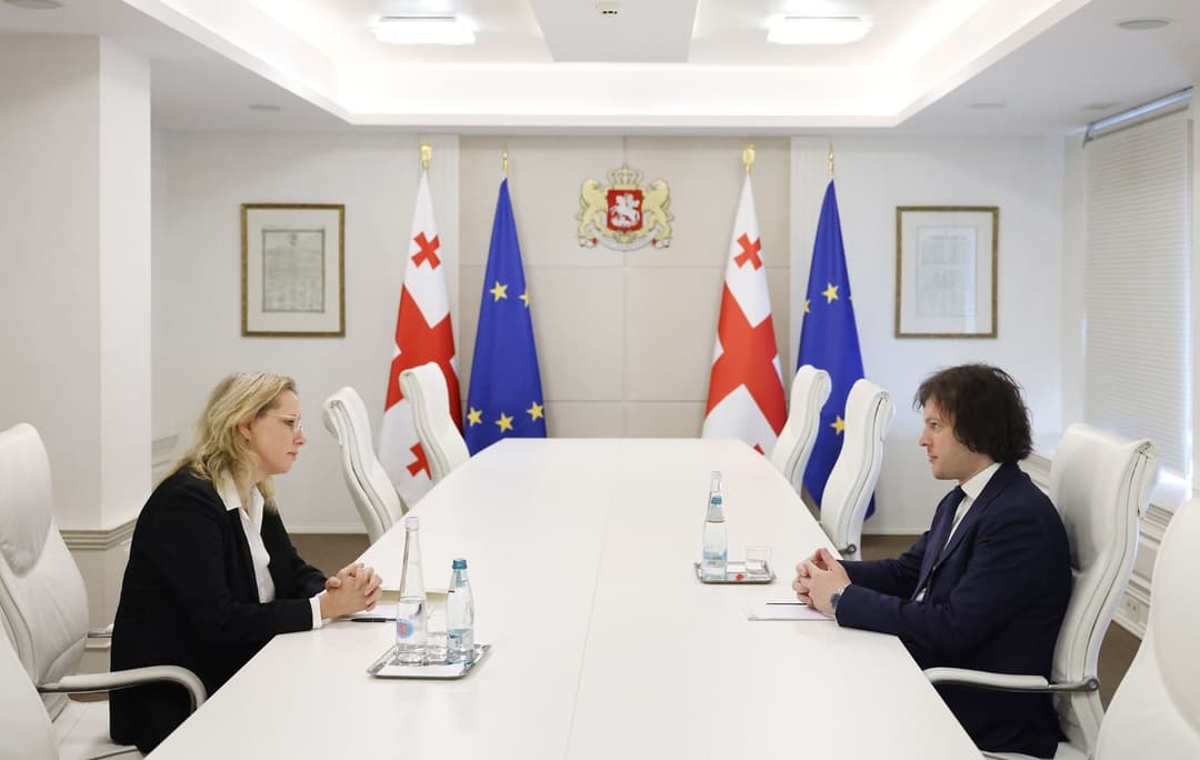 ირაკლი კობახიძე ისრაელის ელჩს შეხვდა