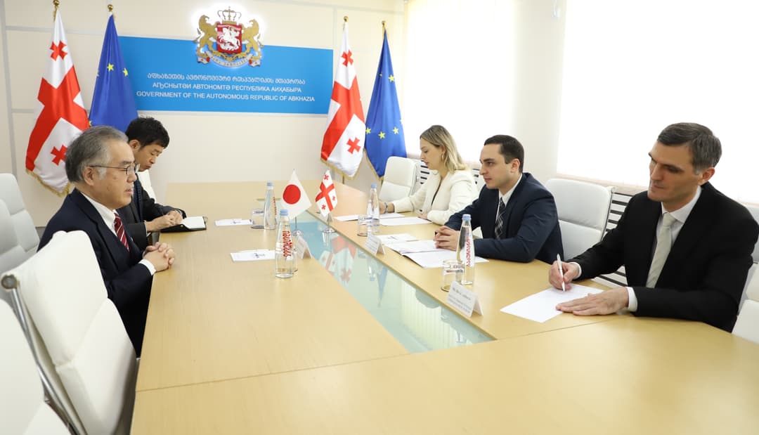 გიორგი ჯინჭარაძე იაპონიის საგანგებო და სრულუფლებიან ელჩს შეხვდა