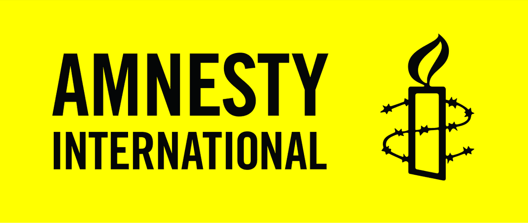 Amnesty International urges accountability for violence against pro-European protesters in Georgia