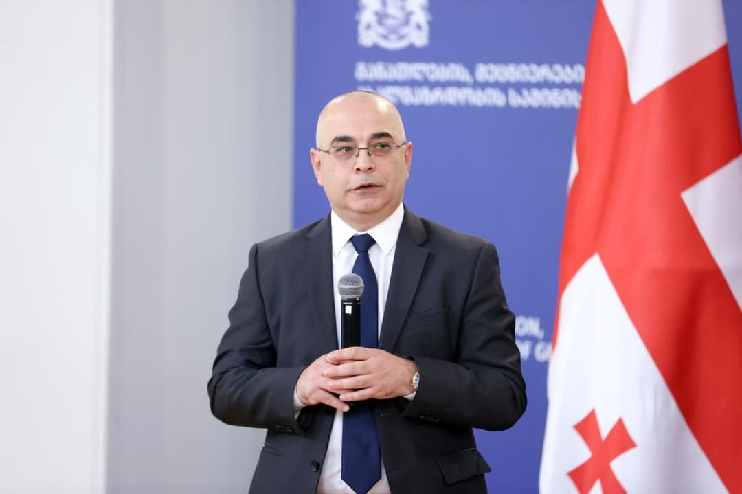 განათლების, მეცნიერებისა და ახალგაზრდობის მინისტრის პირველ მოადგილედ ლევან ღირსიაშვილი დაინიშნა 