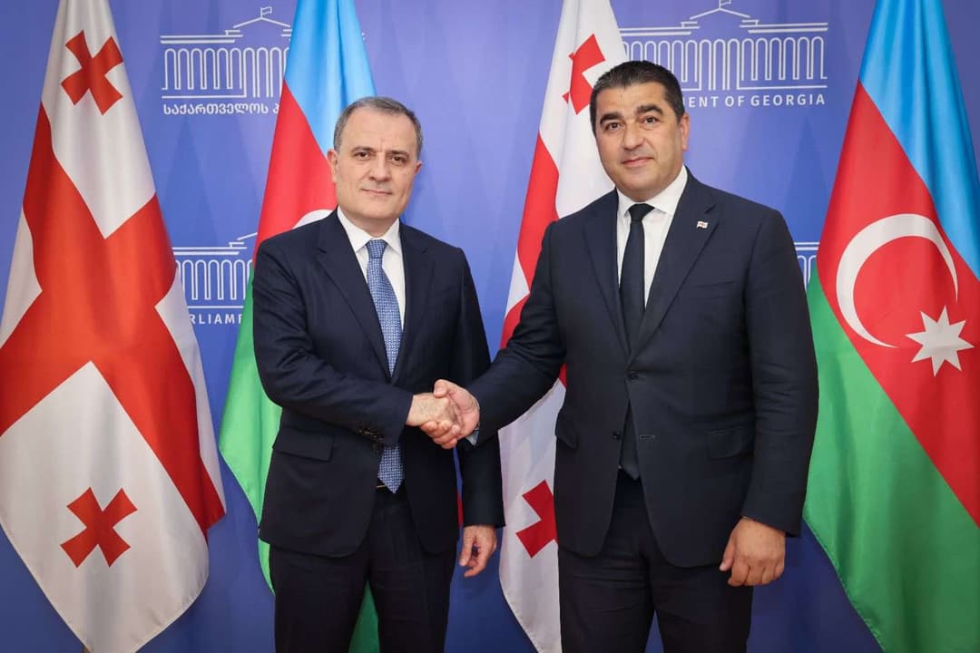 შალვა პაპუაშვილი აზერბაიჯანის საგარეო საქმეთა მინისტრს შეხვდა