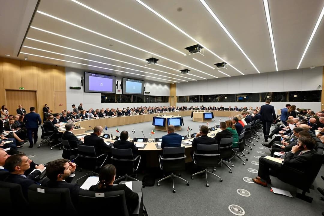 პაატა პატიაშვილმა რამშტაინის ფორმატის ონლაინ შეხვედრაში მიიღო მონაწილეობა