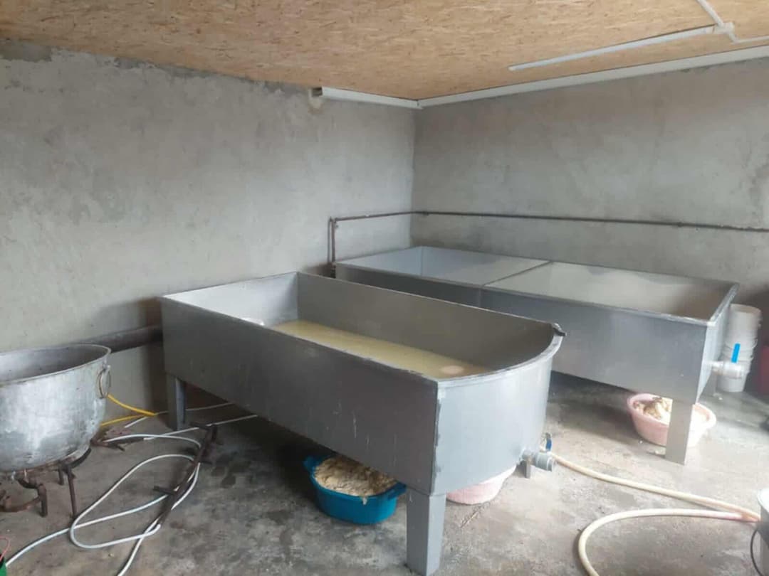 სურსათის ეროვნულმა სააგენტომ ქვემო ქართლში რძის გადამმუშავებელი არალეგალური 4 საწარმო გამოავლინა