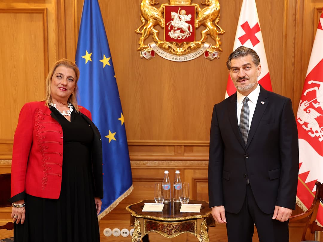 მიხეილ ყაველაშვილი საქართველოში უნგრეთის ელჩს შეხვდა