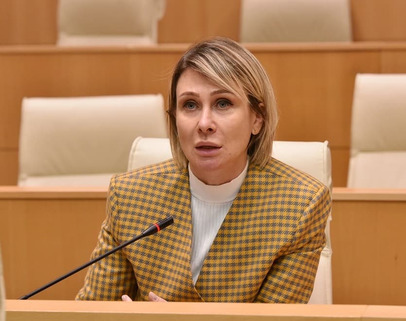 ნინო წილოსანი - ფულით უილსონის პოსტებს ყიდულობენ, მაგრამ ხალხის კეთილგანწყობას ვერ იყიდიან