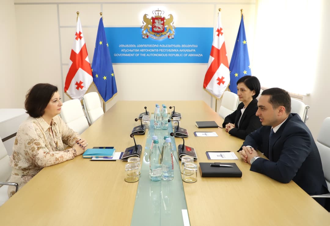 გიორგი ჯინჭარაძე სახელმწიფო გრანტის მართვის სააგენტოს თავმჯდომარეს შეხვდა