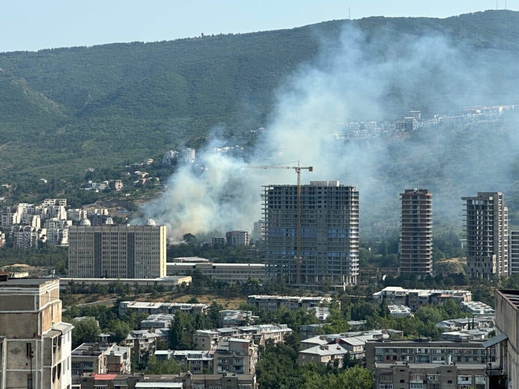 ბაგებში ტყის მასივში გაჩენილი ხანძარი ლიკვიდირებულია 