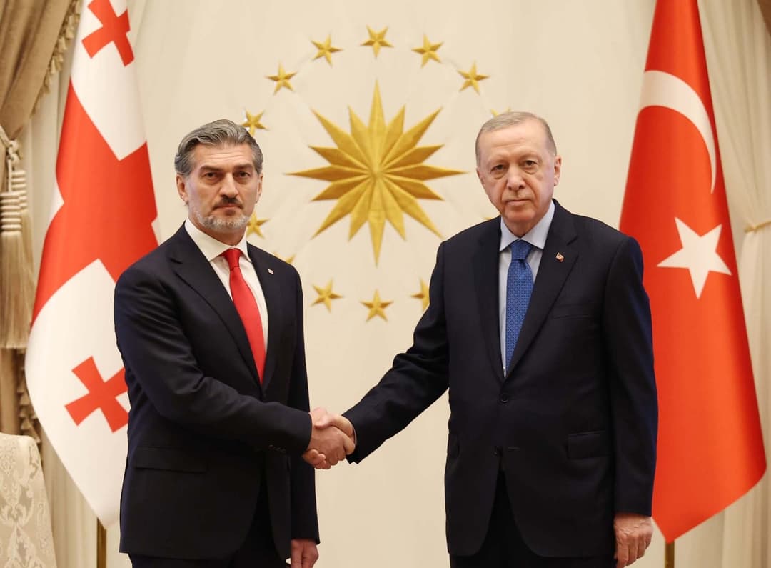 მიხეილ ყაველაშვილი რეჯეფ თაიფ ერდოღანს შეხვდა