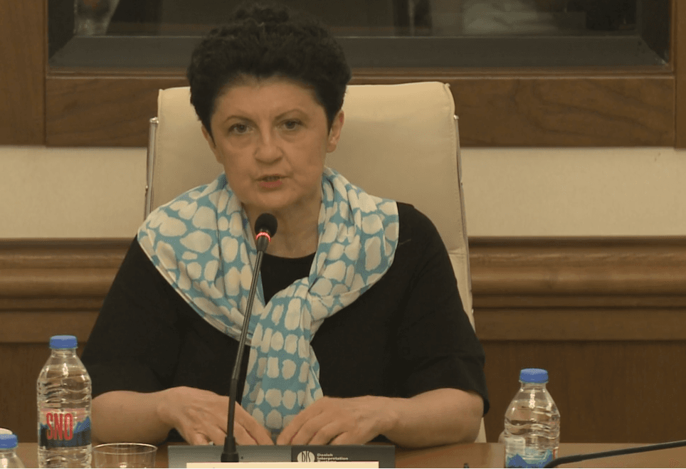 თეა წულუკიანი - ეს დასკვნა მათ უნდა დაეხმაროთ იმ ქართველების გაგებაში, რომლებიც დღეს საქართველოში უმრავლესობაში არიან