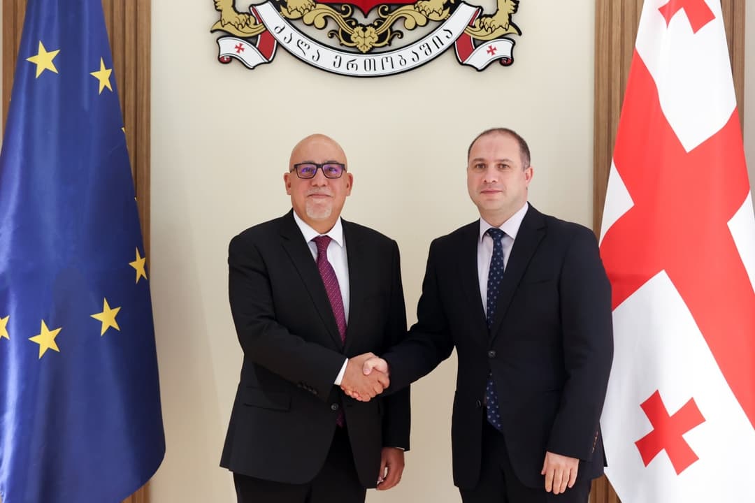 გივი მიქანაძემ თურქეთის რესპუბლიკის ელჩს უმასპინძლა