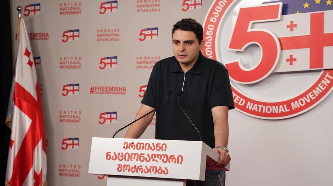 ლევან სანიკიძე - საქართველო იქამდე არ იქნება ამ მოლაპარაკების ნაწილი, სანამ ივანიშვილი მართავს ქვეყანას