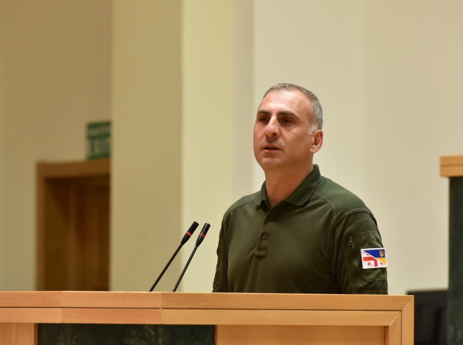 The committee alleged that in March 2022 Elisashvili joined an armed formation in Ukraine