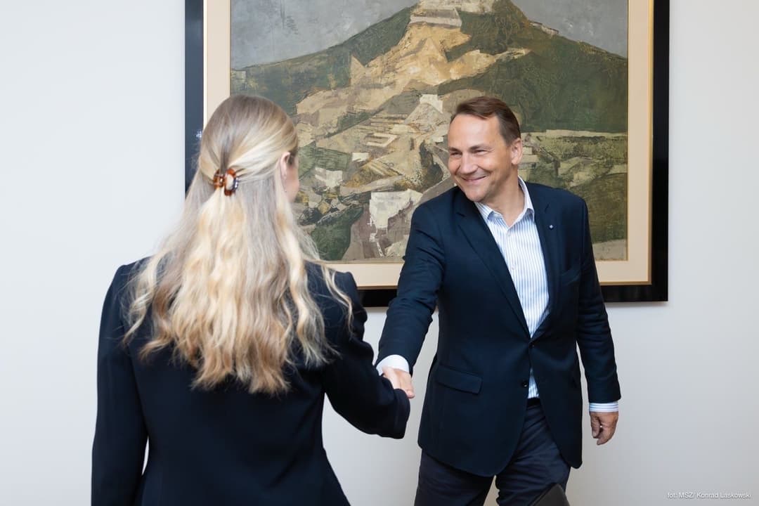 თინა ბოკუჩავა რადოსლავ სიკორსკის შეხვდა