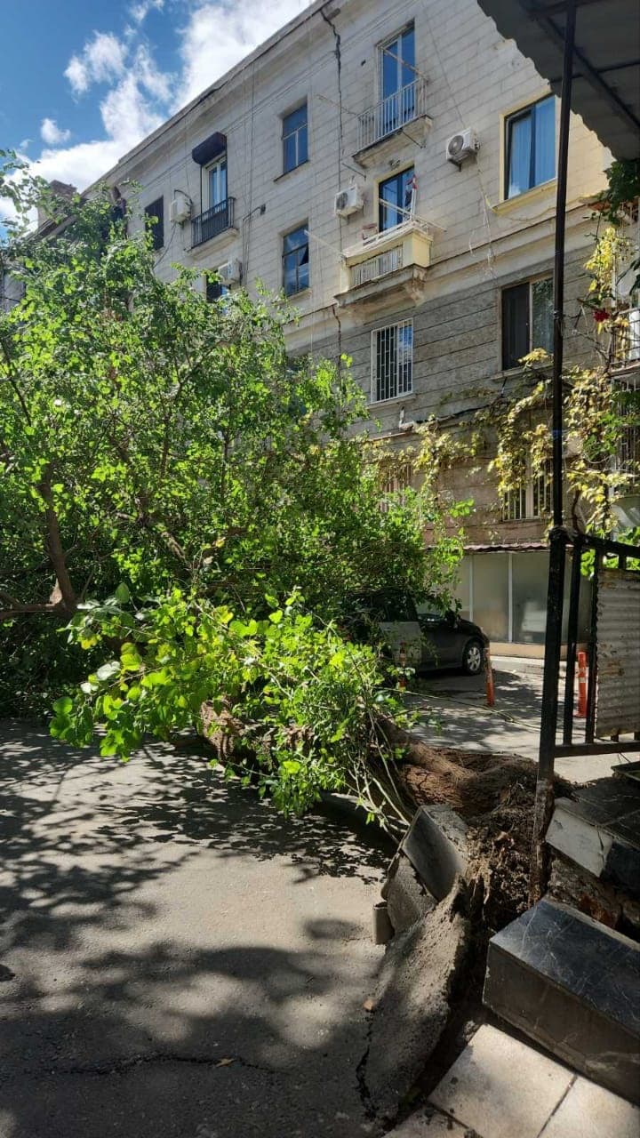 <p style="text-align: justify">ძლიერი ქარის გამო დედაქალაქში გარკვეული სახის პრობლემები შეიქმნა.</p><p style="text-align: justify">"კერძოდ, რამდენიმე რაიონში, განსაკუთრებით ვაკის, საბურთალოს, დიდუბის, გლდანისა და სამგორის რაიონებში დაფიქსირდა ხის წაქცევის, ასევე ხის ტოტების მტვრევის ფაქტები.</p><p style="text-align: justify">თბილისის რაიონების გამგეობებისა და „ეკოსერვის ჯგუფის“ წარმომადგენლები ადგილზე იმყოფებიან და სალიკვიდაციო სამუშაოებს ახორციელებენ. ასევე, მობილიზებულია მუნიციპალიტეტის შესაბამისი სამსახურები.</p><p style="text-align: justify">უამინდობის გამო შექმნილი პრობლემის არსებობის შემთხვევაში, შეგიძლიათ დარეკოთ თბილისის მერიის ცხელ ხაზზე - 2 72 22 22", - აღნიშნულია თბილისის მერიის განცხადებაში.</p><p style="text-align: justify">&nbsp;</p>